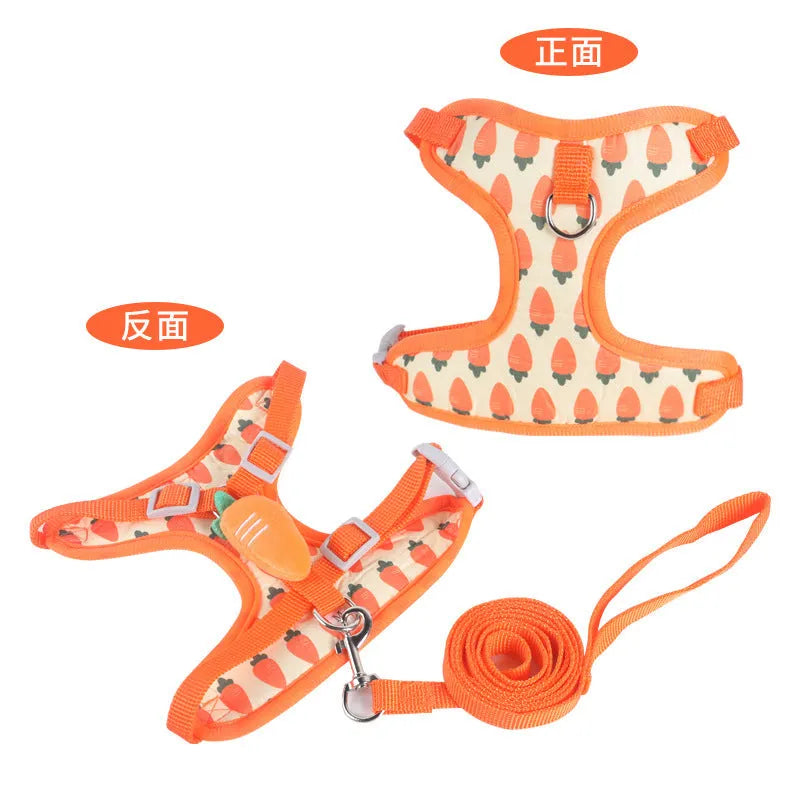 Reflective vest-style harness and lead for a small dog in avocado green colour.