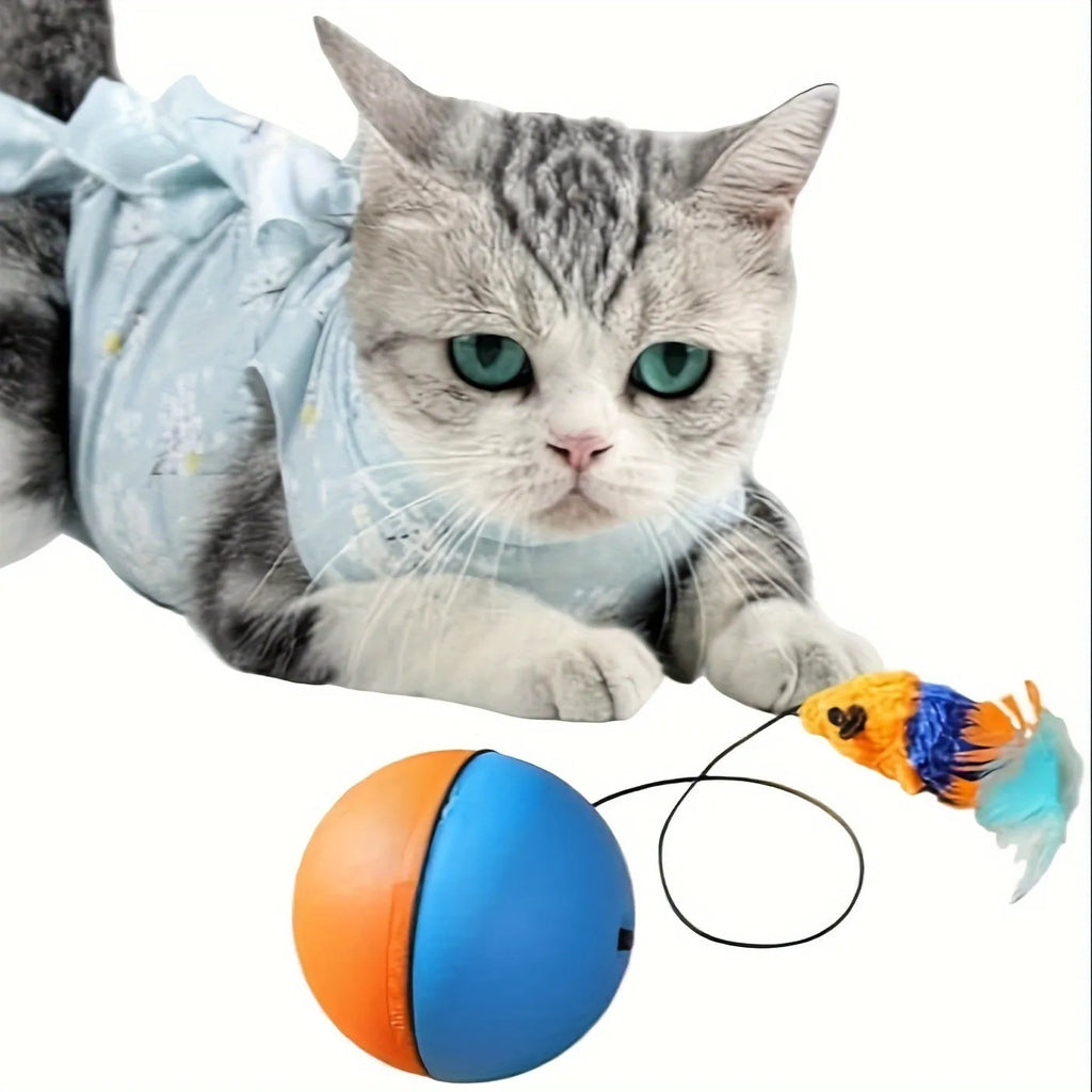Blue and orange interactive cat toy ball with plush mouse attachment measuring 8.5cm cube