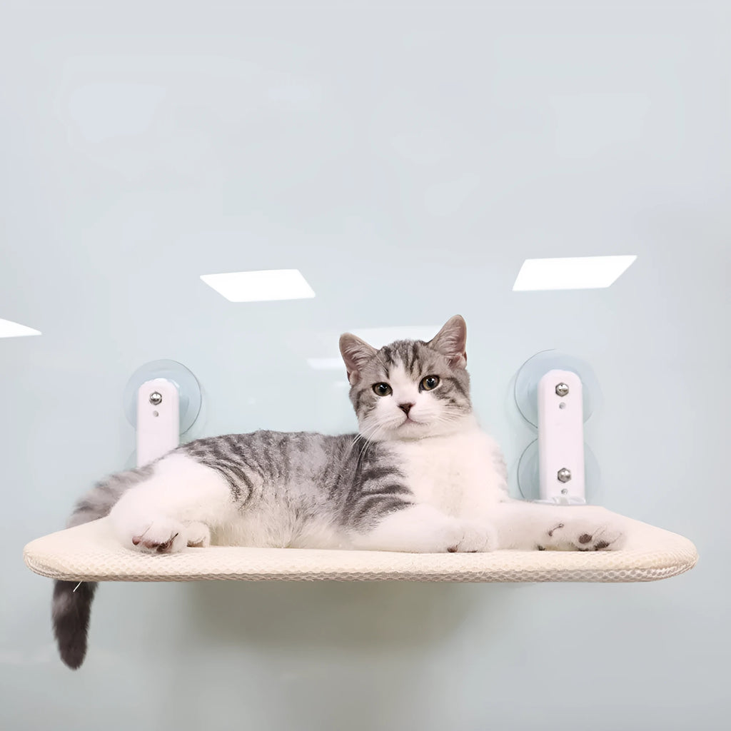 Foldable cat hammock with stainless steel suction cups mounted on a window, shown in grey mesh fabric.