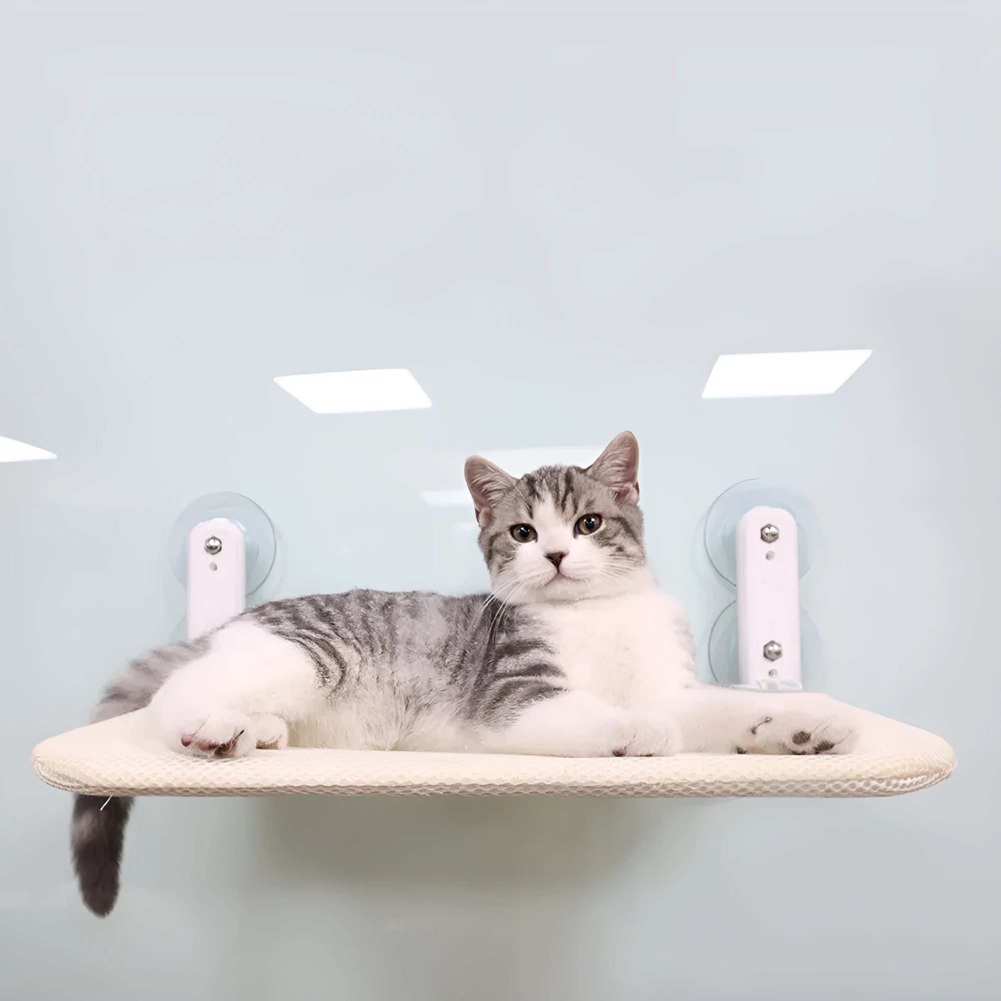 Foldable cat hammock with stainless steel suction cups mounted on a window, shown in grey mesh fabric.