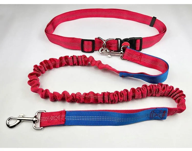 Grey and blue elastic dog leash with reflective sling for outdoor running.