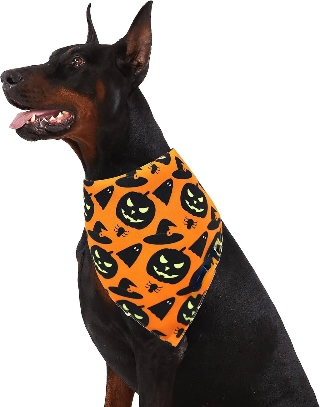 Black and orange reversible Halloween dog bandana with pumpkin and spider web patterns lying flat.