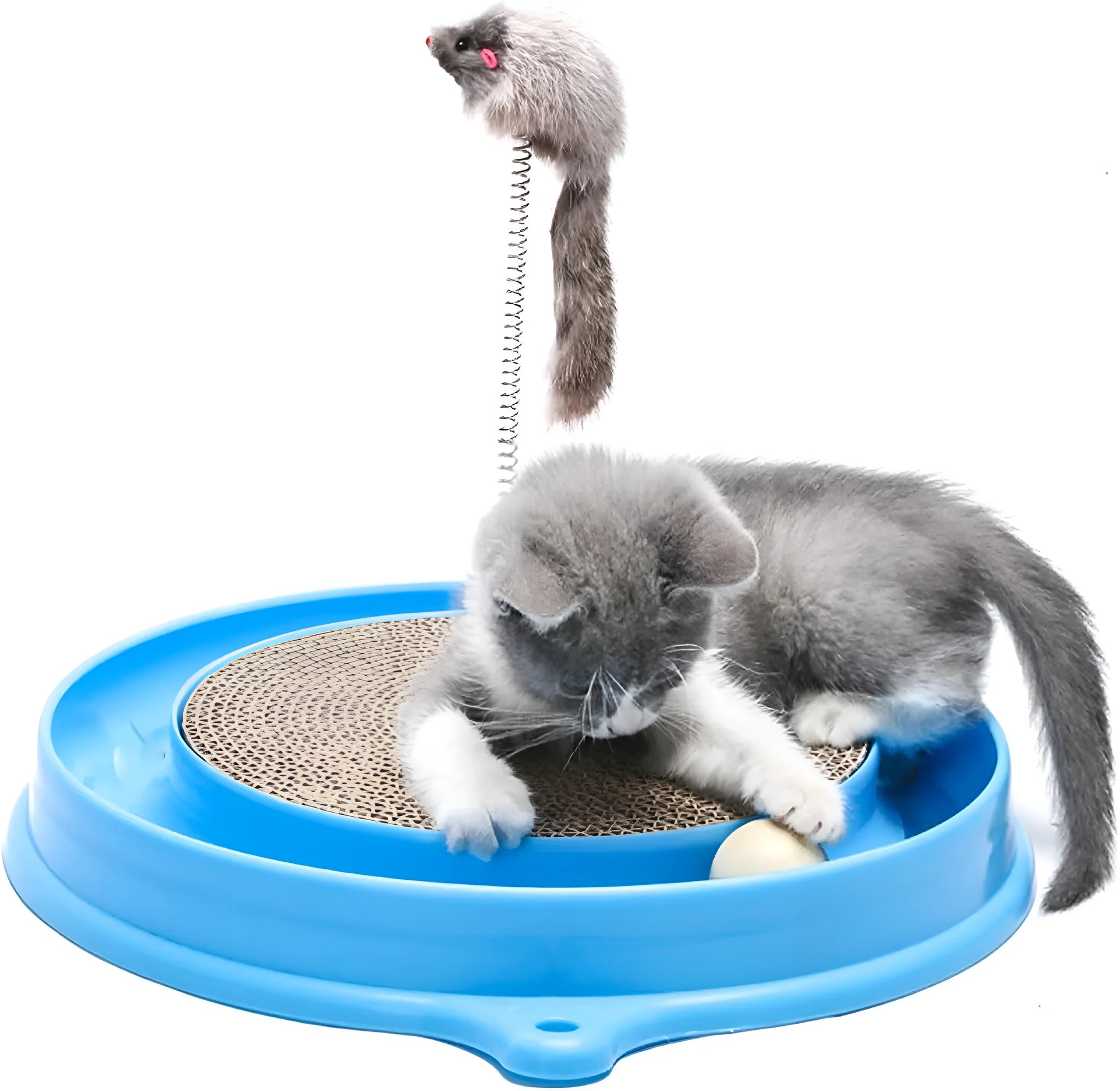 Blue interactive cat scratcher toy with round corrugated cardboard pad and rolling ball in track.