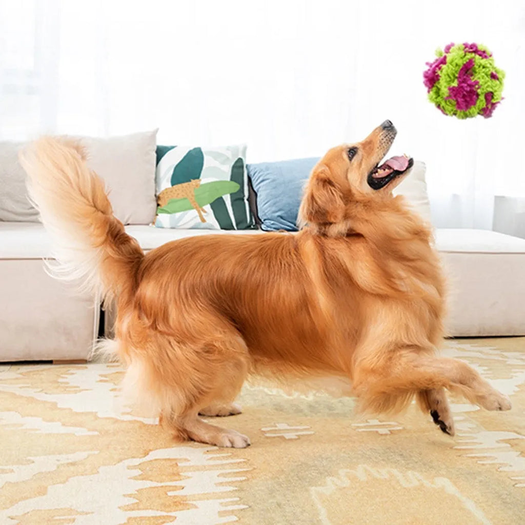 Purple plush seaweed ball design dog chew toy, 15cm in diameter, on a white background.