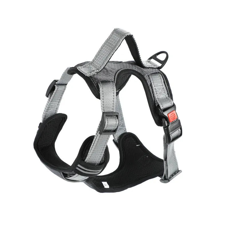 Orange polyester dog chest strap harness with an adjustable hand holding rope attached.