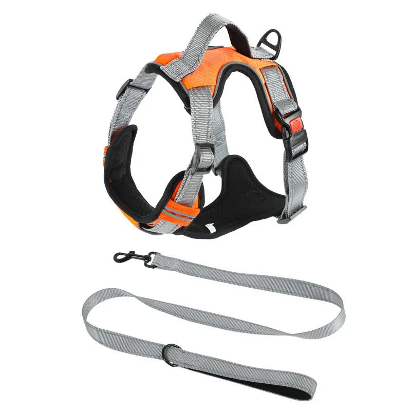 Orange polyester dog chest strap harness with an adjustable hand holding rope attached.