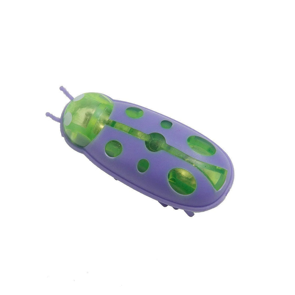 Electric jumping insect cat teaser toy showing iron cow and ladybug designs in red, green, and purple colour combinations