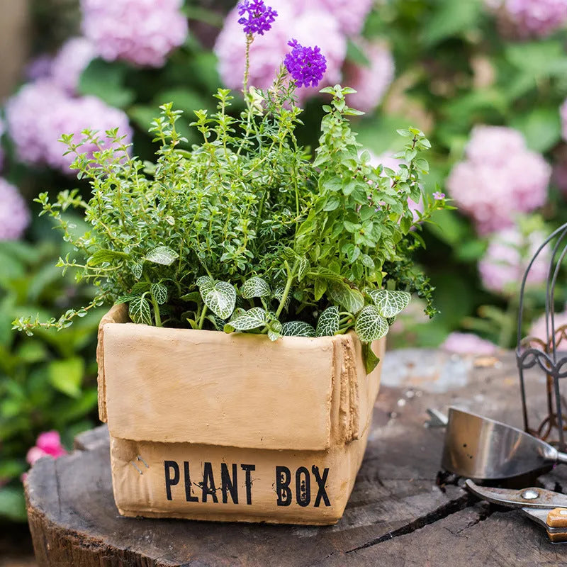 Cement brown paper box design flowerpot with drainage holes for indoor planting