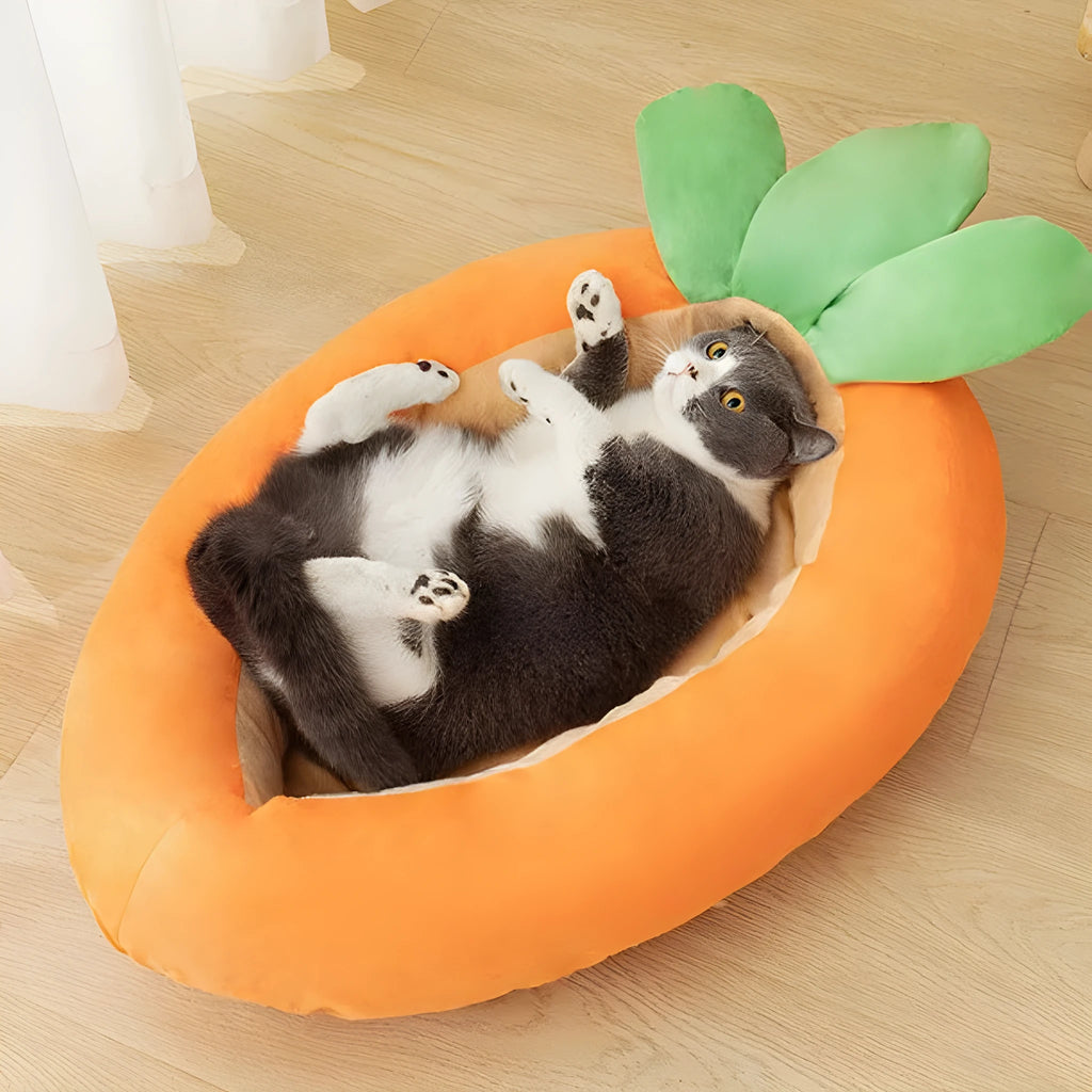 Carrot-shaped orange dog bed with removable washable cover on a floor