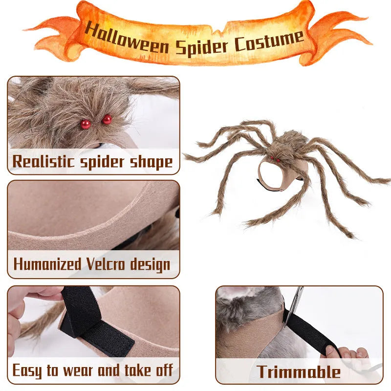 Halloween pet spider costume with eight legs in polyester available sizes S M L