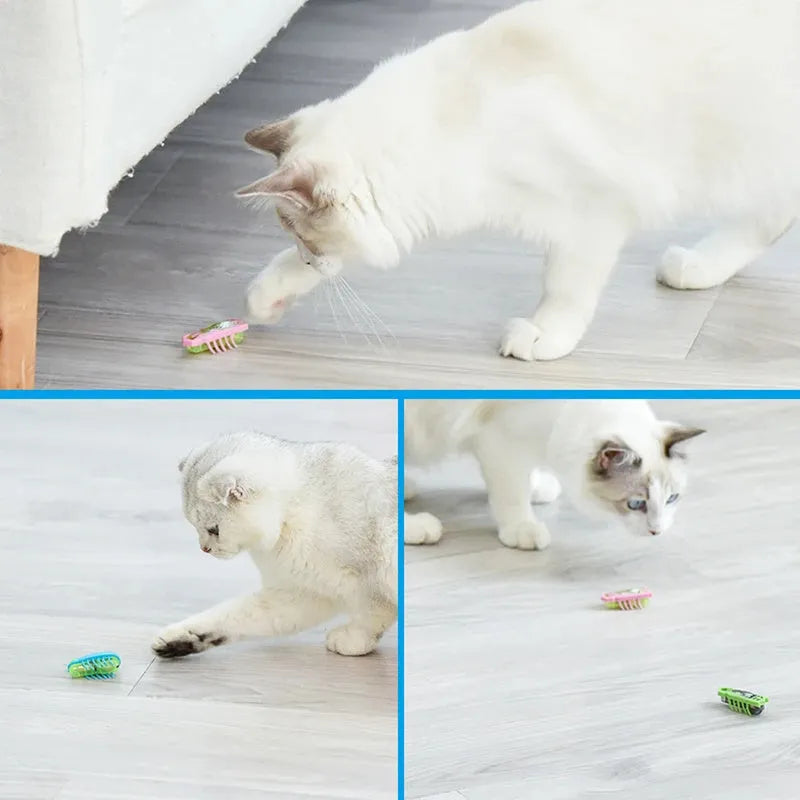Electric bug cat toy with PVC construction and motorised walking legs for interactive pet play