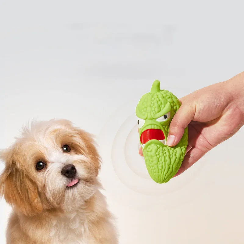 Green bitter melon or red chili shaped dog chew toy with squeaker for dental care and play.