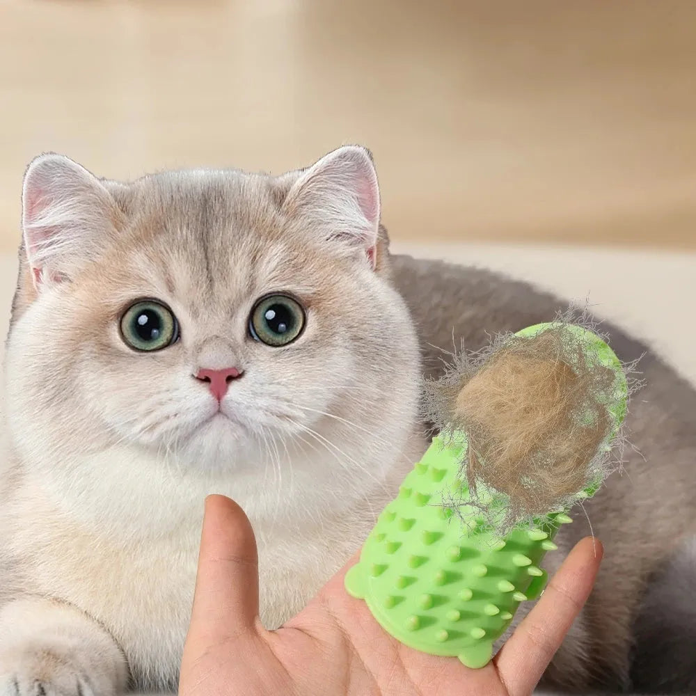 Silicone cat grooming comb with adjustable strap mounted on a table leg, shown in assorted colours.