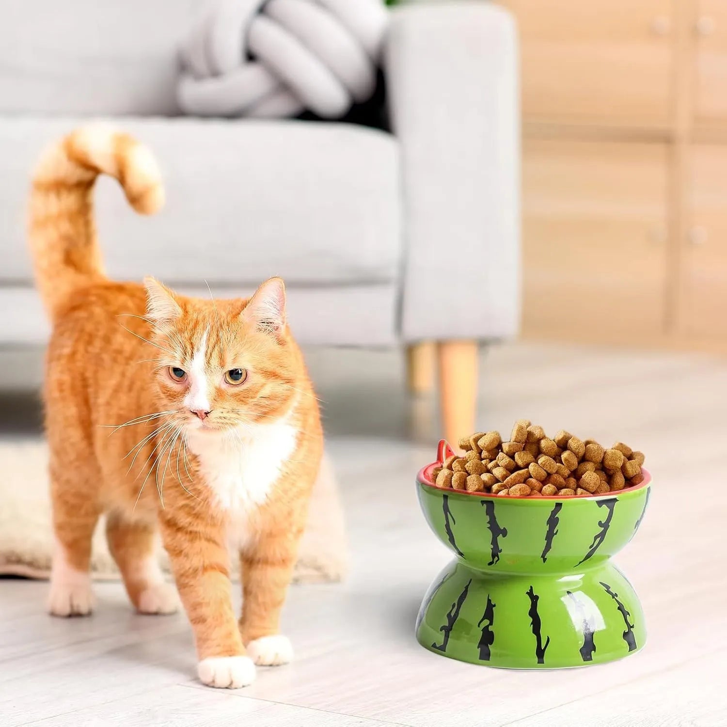 Ceramic raised cat bowl with tilted surface and anti-slip base in orange, pitaya, or watermelon pattern