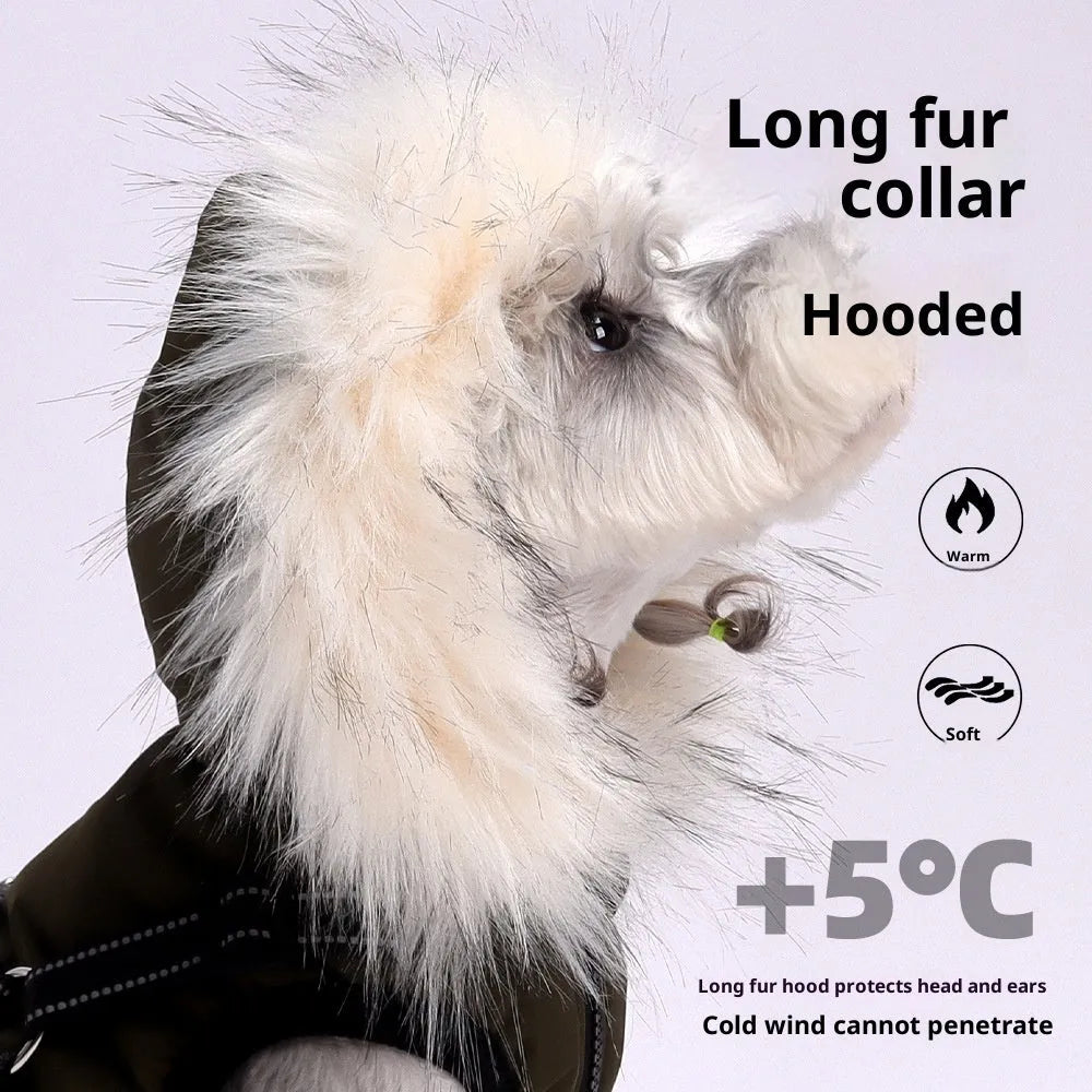 Velvet cold protection pet dog vest in sapphire blue for small breeds Teddy and Bichon