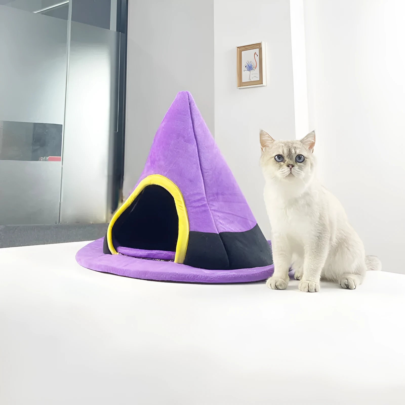 Purple cloth Halloween witch hat shaped cat bed measuring 60 by 45 centimetres