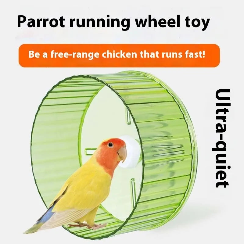 21cm plastic parrot wheel running toy for bird exercise in transparent, green, grey, orange, or purple