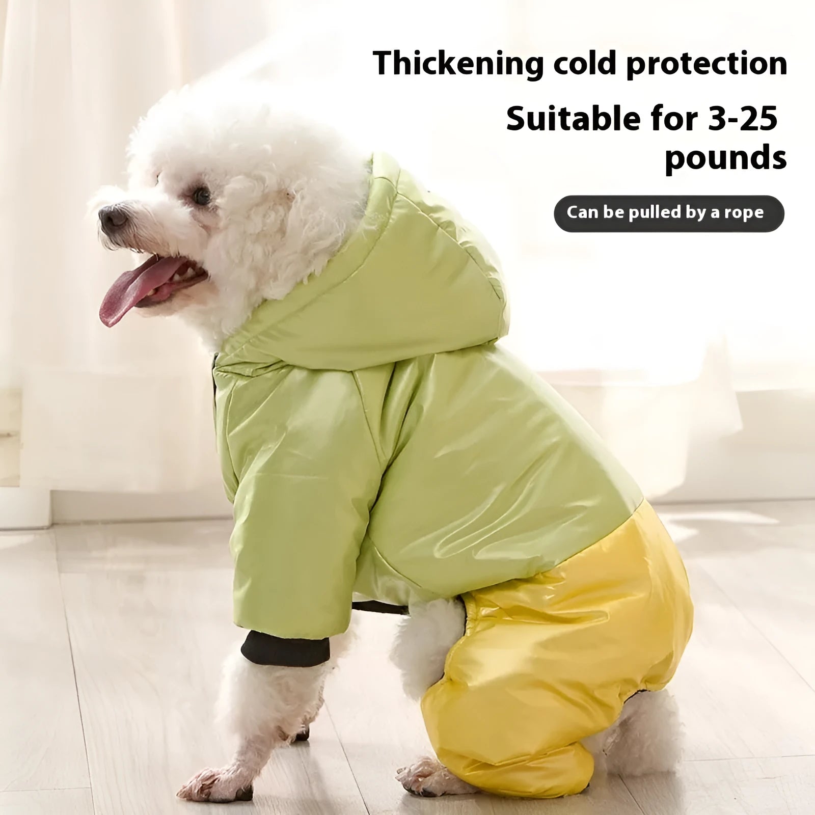 Green waterproof dog winter coat with four-legged design on medium-sized dog