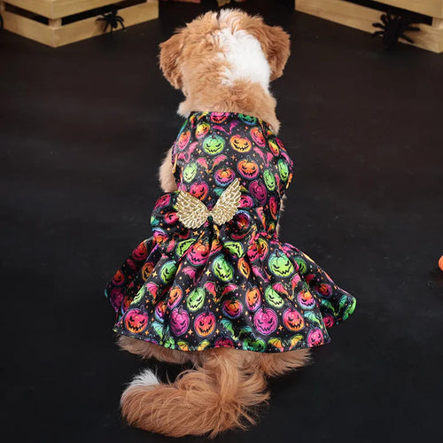 Dog wearing an angel wings Halloween costume in bright pumpkin colour.