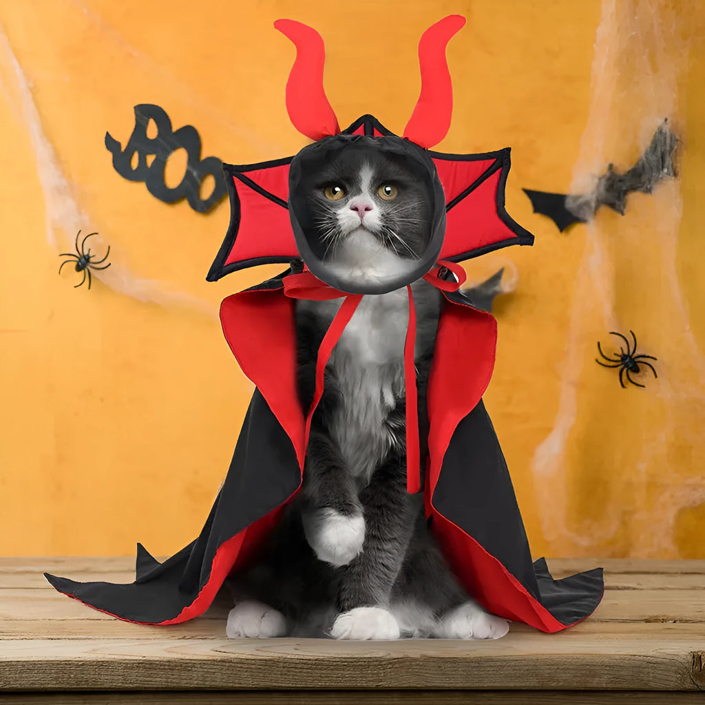 Black vampire cloak and pointed hat Halloween costume for a small dog or cat.