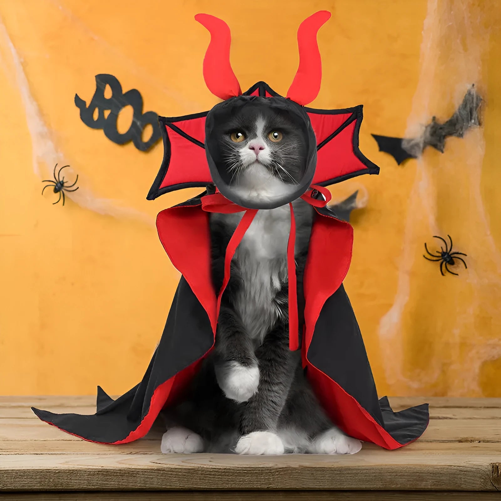 Black vampire cloak and pointed hat Halloween costume for a small dog or cat.