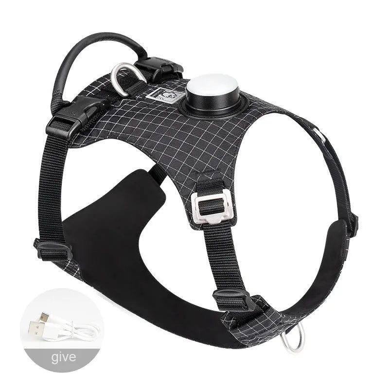 Nylon dog harness with LED light in multiple colours including light purple, green, black, orange, white, blue