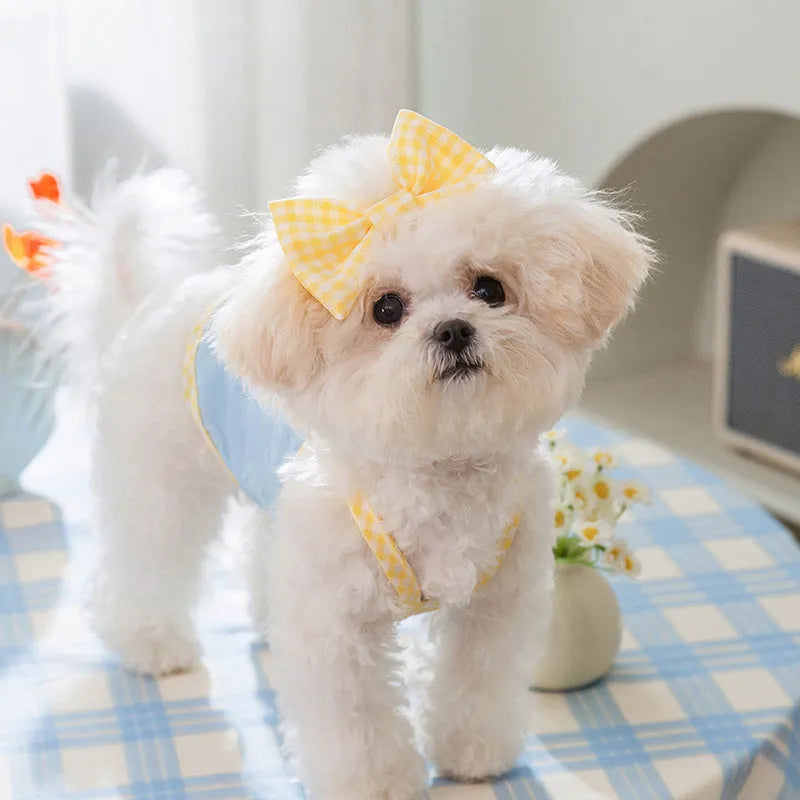 Small dog wearing heart relief texture bow suspenders vest in Bondi Blue colour