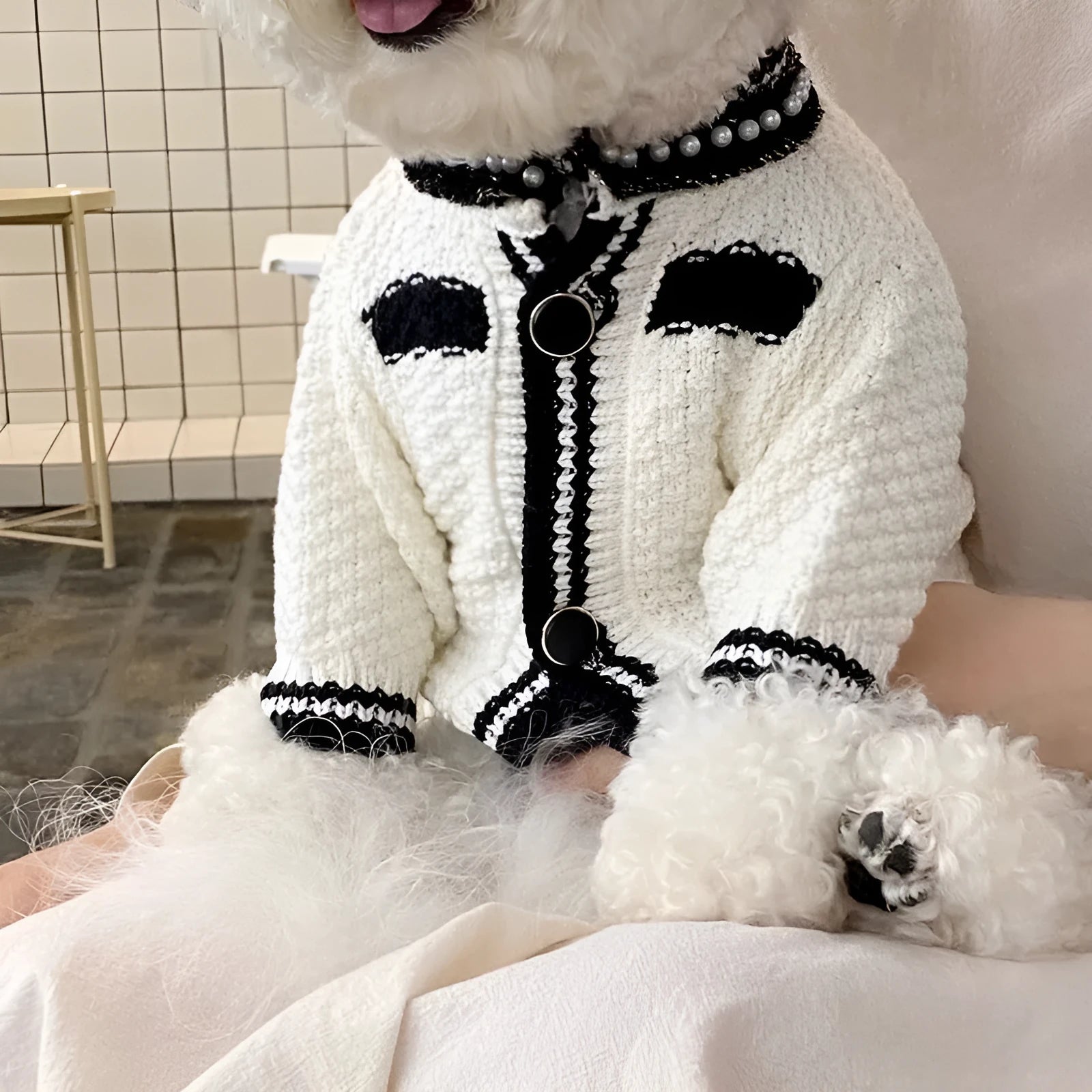 Korean style puppy sweater with pearl collar in classic black and white colours for small dogs