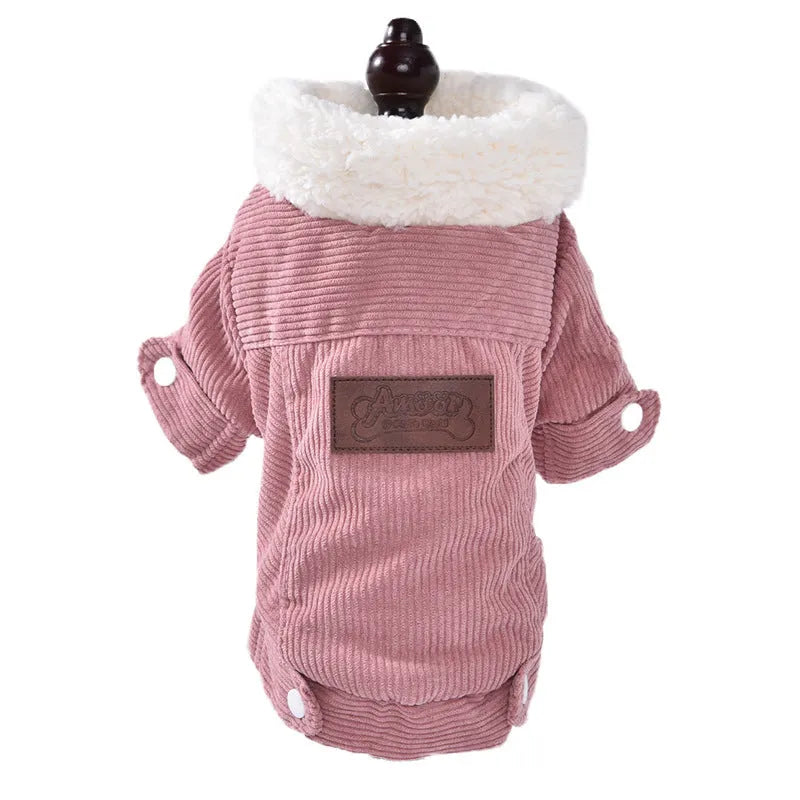 Dog wearing fleece-lined lambswool vest in grey colour with wool lining visible