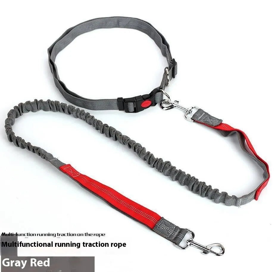 Grey and blue elastic dog leash with reflective sling for outdoor running.