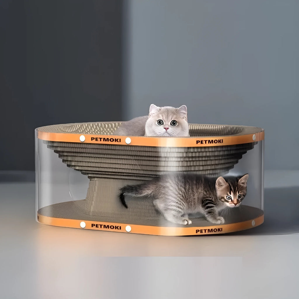 White transparent cat scratch board and diamond-pattern tunnel nest combined into one unit