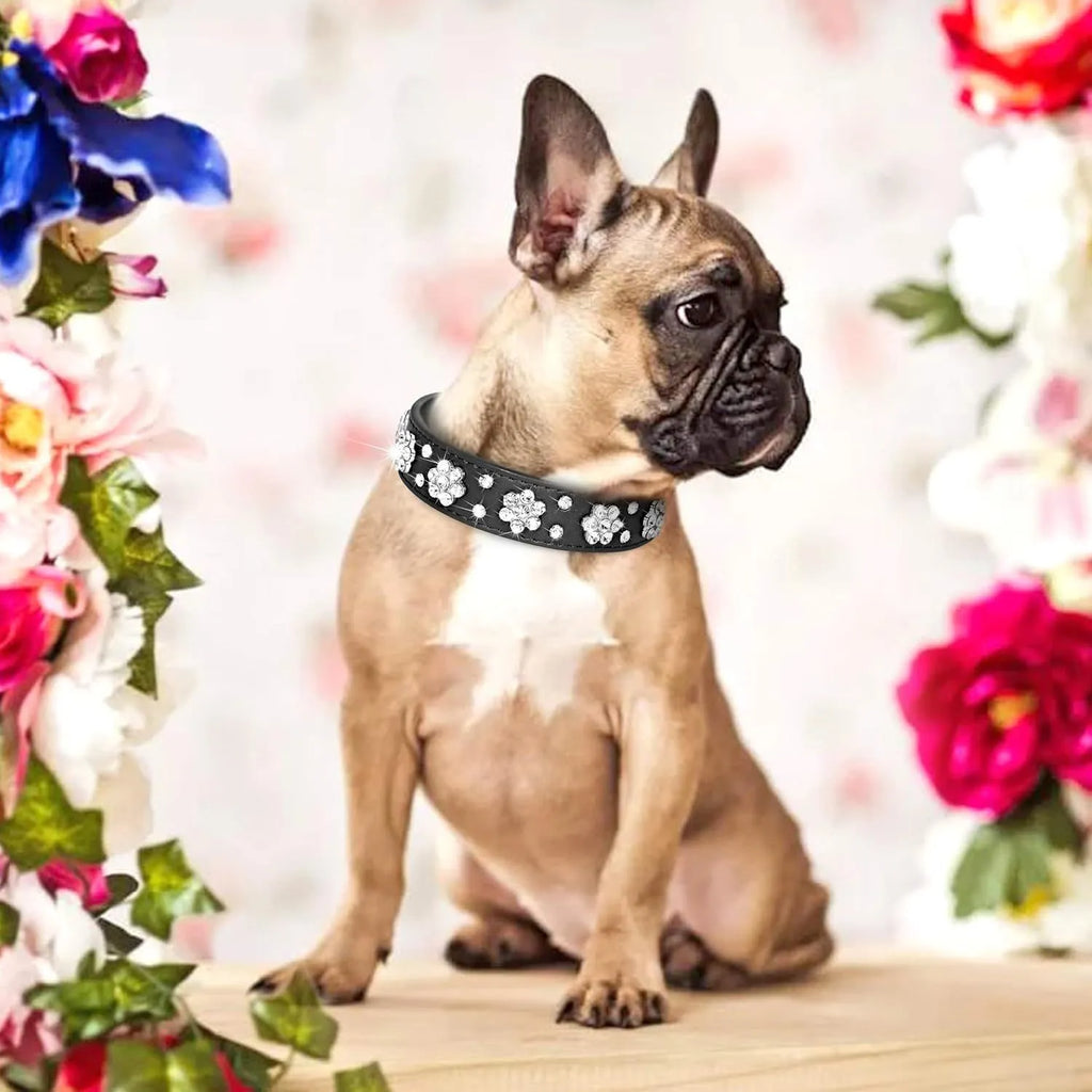 Close-up of a pink PU leather dog collar with silver rhinestone flowers and studs, showing the metal D-ring.