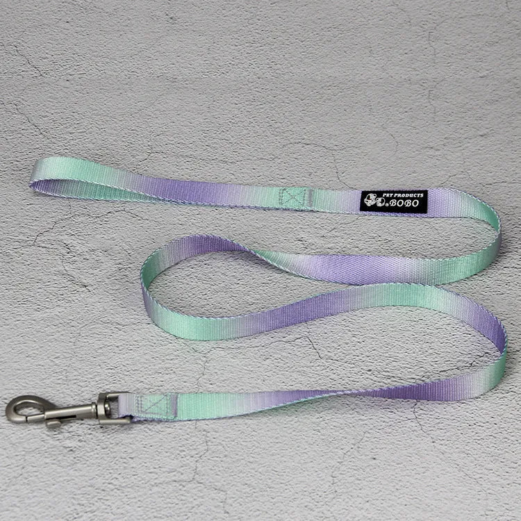 Nylon dog leash and gradient colour collar set in pink and blue, showing S and M size options.