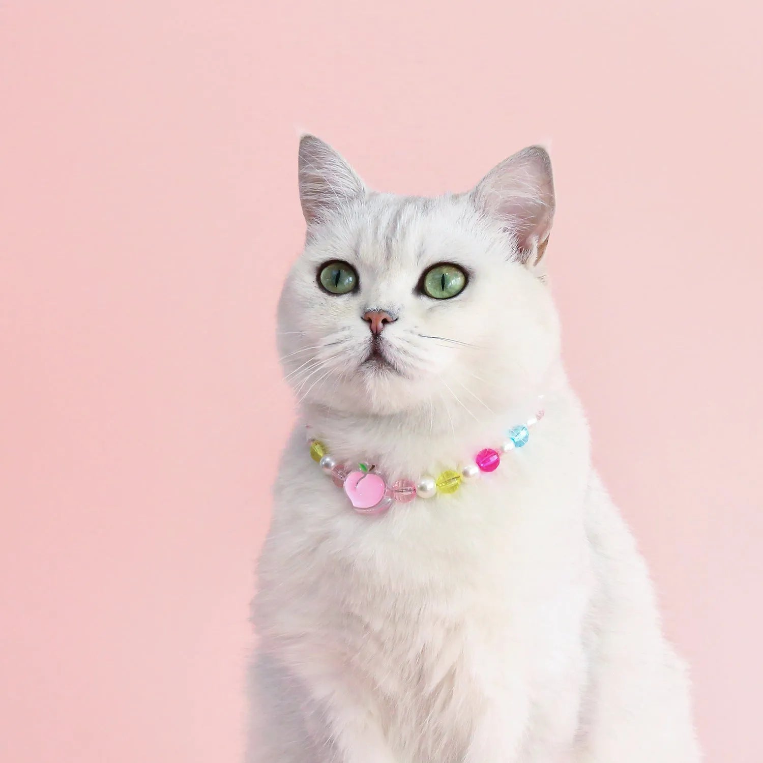 Colourful plastic bead pet necklace for dogs and cats with adjustable sizing options