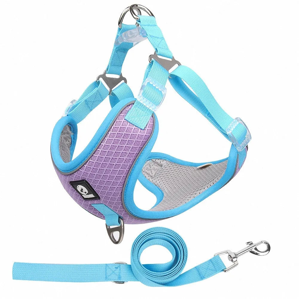 Adjustable breathable mesh dog harness with reflective piping in four colour options